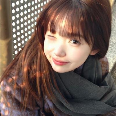 鸟,孤儿和愚人
